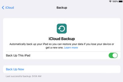 Screenshot of iCloud Backup settings screen