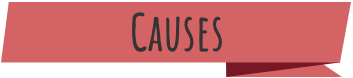 A red banner with the text "Causes"