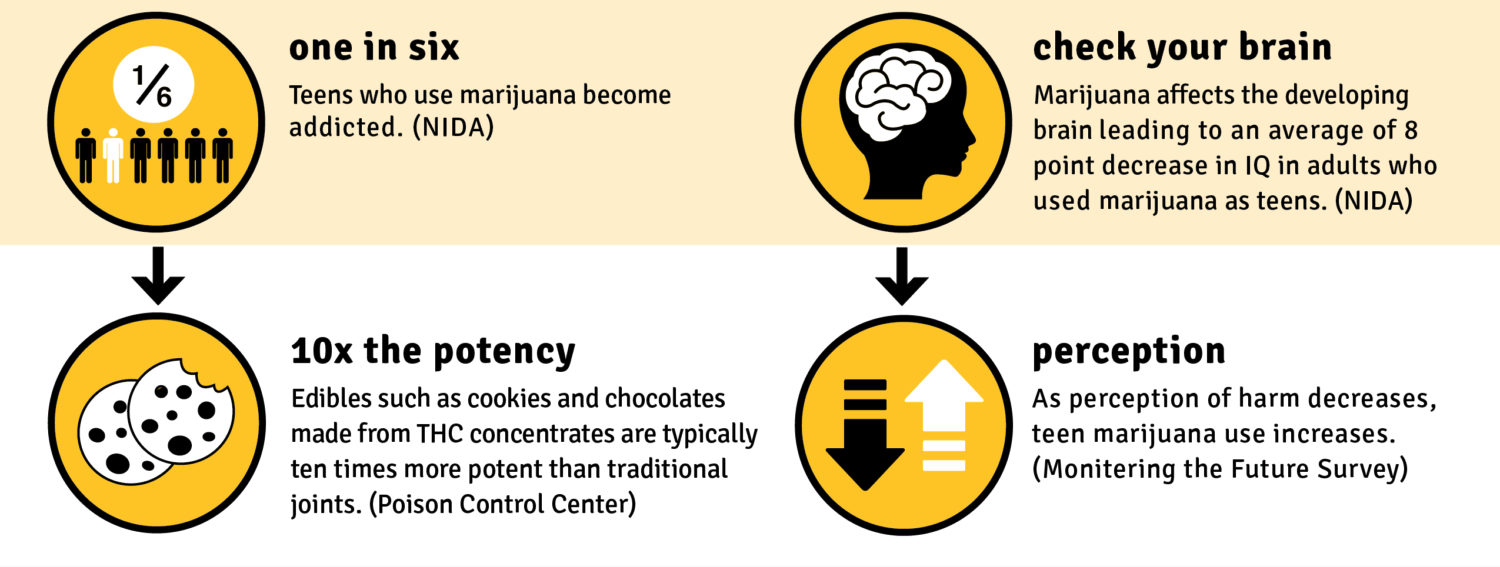 Infographic: "Fast Facts on the Effects of Marijuana Use"
