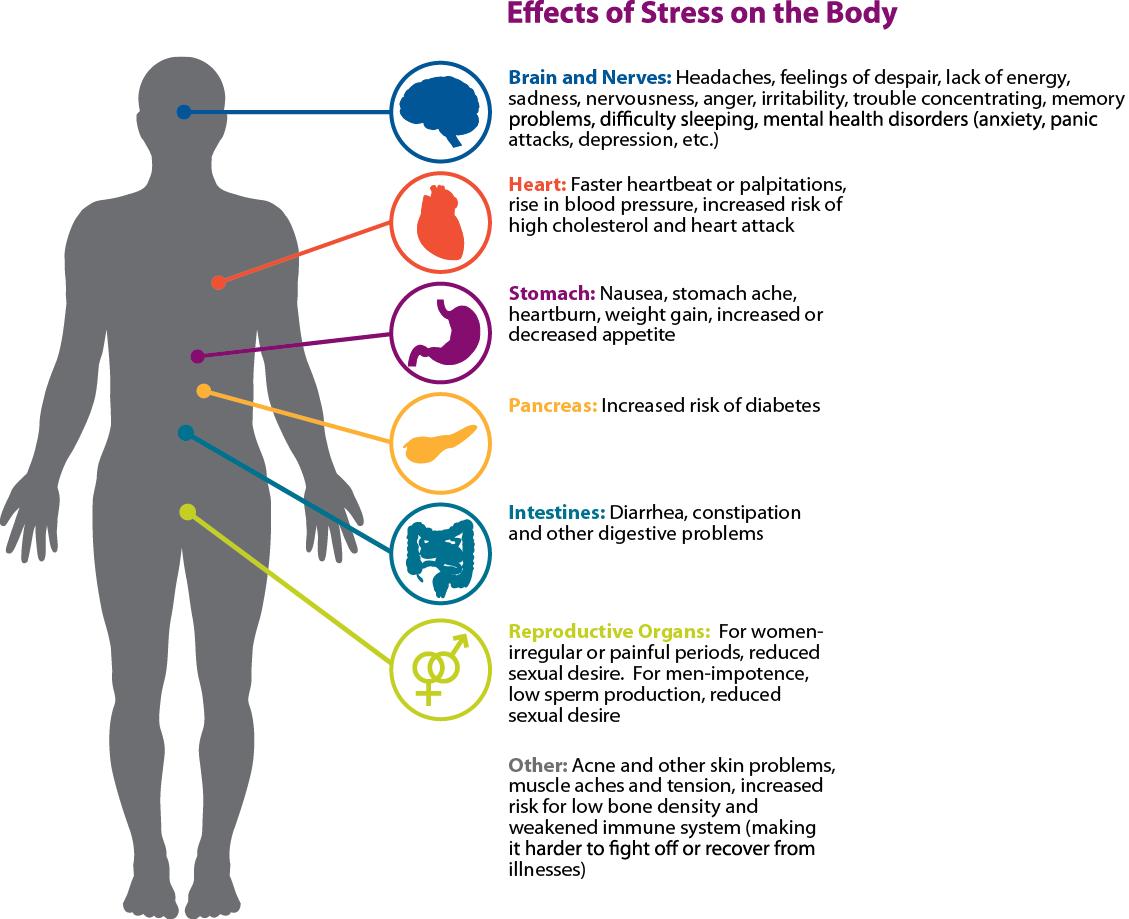 Chart of the various effects stress has on the body