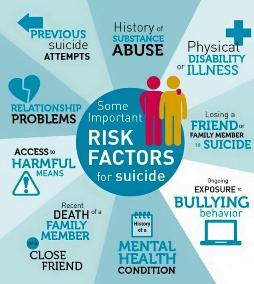 Important Risk Factors for Suicide