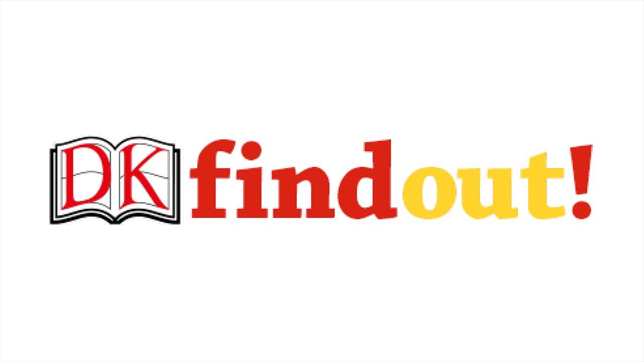 DK's "Find Out!" resource