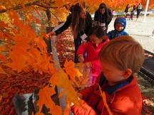 Students getting orange leaves 